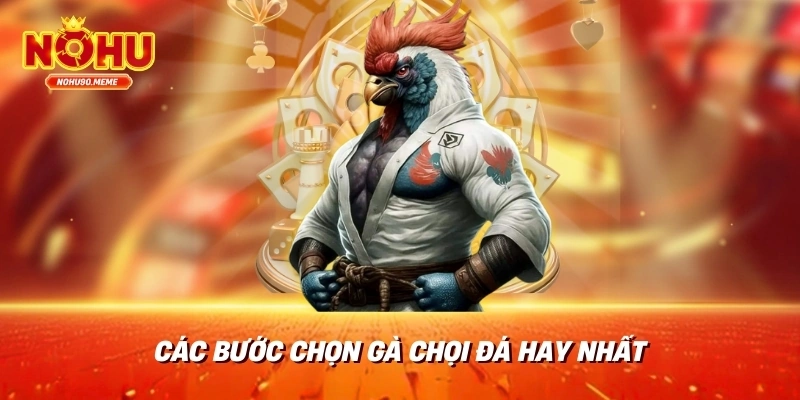 Các bước chọn gà chọi đá hay nhất