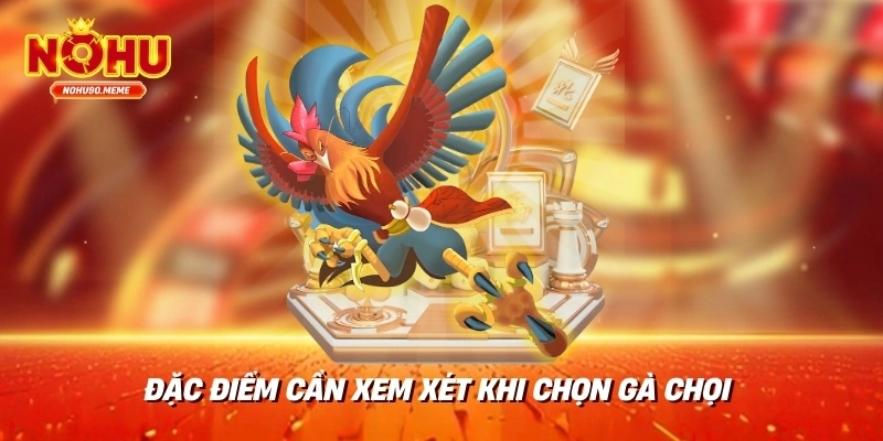 Đặc điểm cần xem xét khi chọn gà chọi 