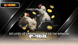 WS168 Nohu90 – Sảnh Cược Uy Tín Dành Cho Tín Đồ Đam Mê